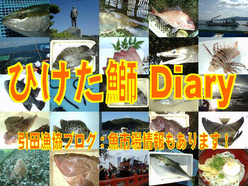 ひけた鰤Diary